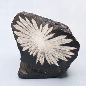 Chryzantémový kámen Čína 8 - 6,2 x 6,3 cm