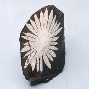 Chryzantémový kámen Čína 11 - 4 x 6,8 cm