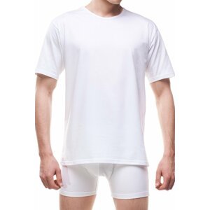 Pánské tričko 202 Authentic new plus white
