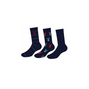 Cornette Premium A50 A'3 Pánské ponožky, Světle šedá, modrá