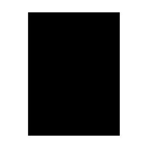 Gatta T-SHIRT L 2635 S Dámská košilka, L, černá