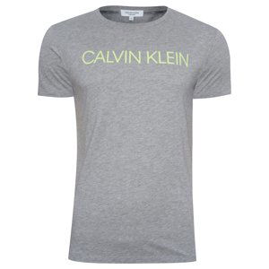 Calvin Klein Pánské tričko s krátkým rukávem M