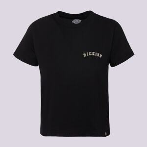 DICKIES 90'S FIT TREND TEE