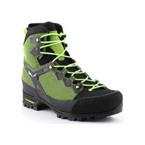 Salewa  Trekking shoes  Ms Raven 3 GTX 361343-0456  Pohorky Zelená