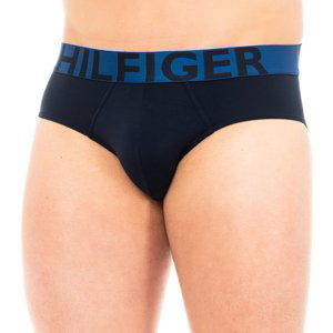 Tommy Hilfiger  1U87905329-416  Trenýrky Modrá