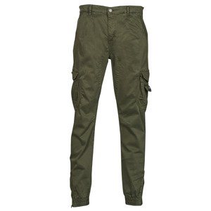 Deeluxe  GARDEN PA M  Cargo trousers Zelená