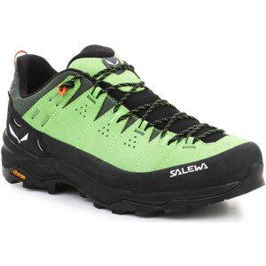 Salewa  Alp Trainer 2 Gore-Tex® Men's Shoe 61400-5660  Pohorky Zelená