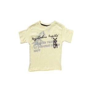 Srk  T-shirt manches courtes garçon EROLI  Trička s krátkým rukávem Dětské Žlutá