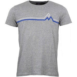 Peak Mountain  T-shirt manches courtes homme CASA  Trička s krátkým rukávem Šedá