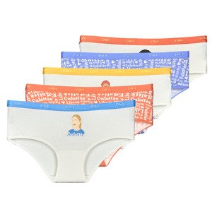 DIM  COTON STRETCH BOXER PACK X5  Kalhotky s nohavičkami