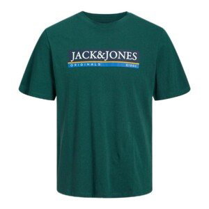 Jack & Jones  -  Trička s krátkým rukávem Dětské Zelená