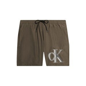 Calvin Klein Jeans  km0km00800-gxh brown  Kraťasy & Bermudy Hnědá