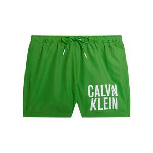 Calvin Klein Jeans  km0km00794-lxk green  Kraťasy & Bermudy Zelená