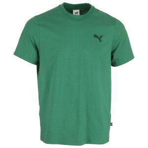 Puma  Fd Mif Tee Shirt Vine  Trička s krátkým rukávem Zelená