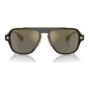 Versace  Occhiali da Sole  VE2199 12524T  sluneční brýle Hnědá