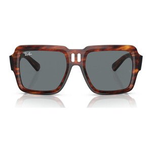 Ray-ban  Occhiali da Sole  Magellan RB4408 139880  sluneční brýle Hnědá