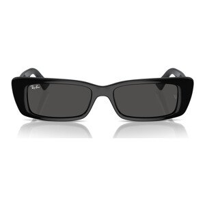 Ray-ban  Occhiali da Sole  Teru RB4425 667787  sluneční brýle Černá