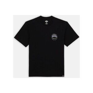 Dickies  SS STANARDSVILLE TEE  Trička s krátkým rukávem Černá