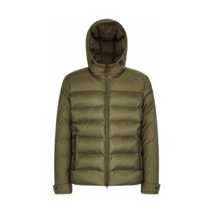 Geox  M SAPIENZA HOOD JKT  Bundy Zelená