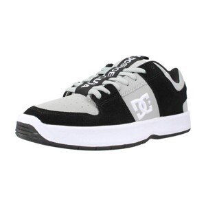 DC Shoes  LYNX ZERO  Módní tenisky Šedá