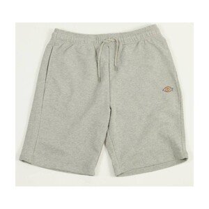 Dickies  MAPLETON SHORT UNISEX  Kalhoty Šedá