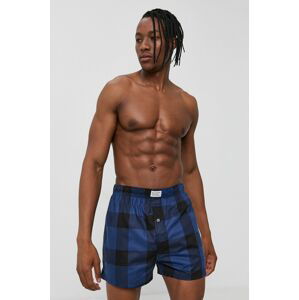 Levi's - Boxerky (2-pack)