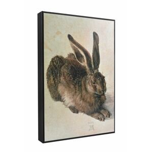 MuseARTa - Dárková krabička Albrecht Dürer - Young Hare