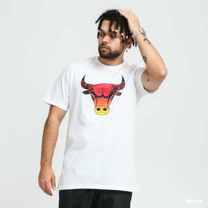 Tričko s krátkým rukávem New Era NBA Summer City Infill Tee Chicago Bulls bílé