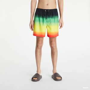 Šortky Billabong All Days Fade LB rasta