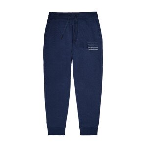 Tepláky peak performance jr ground pants modrá 170