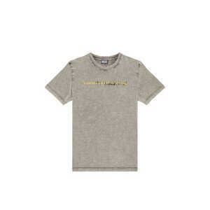 Tričko diesel t-diegor-e5 t-shirt šedá xl