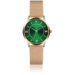 Emily Westwood Green Sunray Mesh Watch EGF-3218