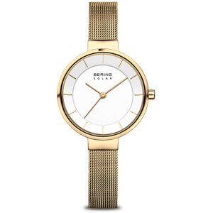 Bering Solar 14631-324