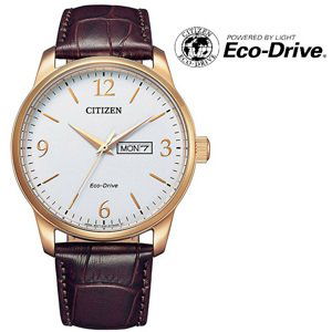 Citizen Eco-Drive Classic BM8553-16AE