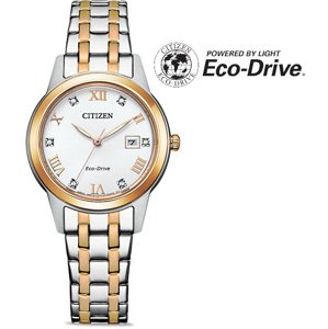 Citizen Eco-Drive Classic FE1246-85A