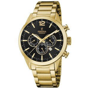 Festina Timeless 20633/3