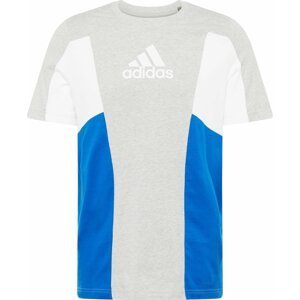 ADIDAS SPORTSWEAR Funkční tričko modrá / šedá / bílá