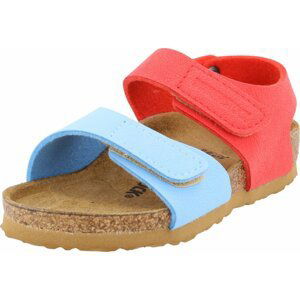 BIRKENSTOCK Otevřená obuv světlemodrá / melounová