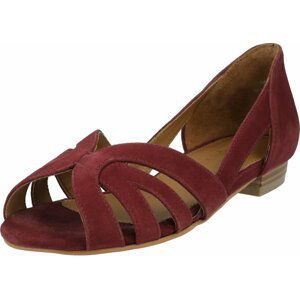 Dorothy Perkins Baleríny 'Barb' purpurová