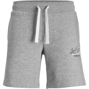 JACK & JONES Kalhoty 'Andy' marine modrá / světle šedá / černá / bílá