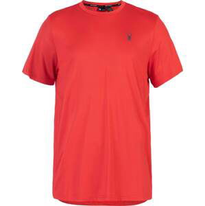 Spyder Funkční tričko šedá / červená