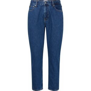 Calvin Klein Jeans Džíny 'DAD' modrá džínovina