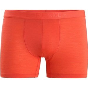 ICEBREAKER Sportovní spodní prádlo 'Anatomica' oranžová