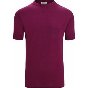 ICEBREAKER Funkční tričko purpurová