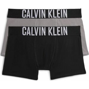 Calvin Klein Underwear Spodní prádlo šedá / černá