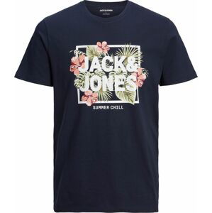 JACK & JONES Tričko 'Becs' námořnická modř / zelená / starorůžová / bílá