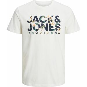 JACK & JONES Tričko 'BECS' námořnická modř / světle zelená / bílá