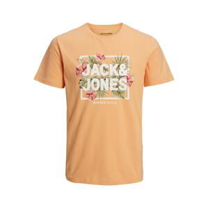 JACK & JONES Tričko 'BECS' mix barev / oranžová