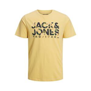 JACK & JONES Tričko 'Becs' marine modrá / žlutá / zelená / bílá