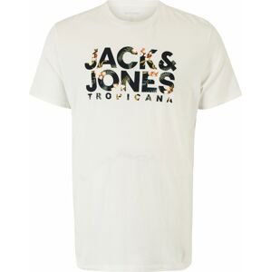 Jack & Jones Plus Tričko 'BECS' noční modrá / tmavě zelená / broskvová / bílá